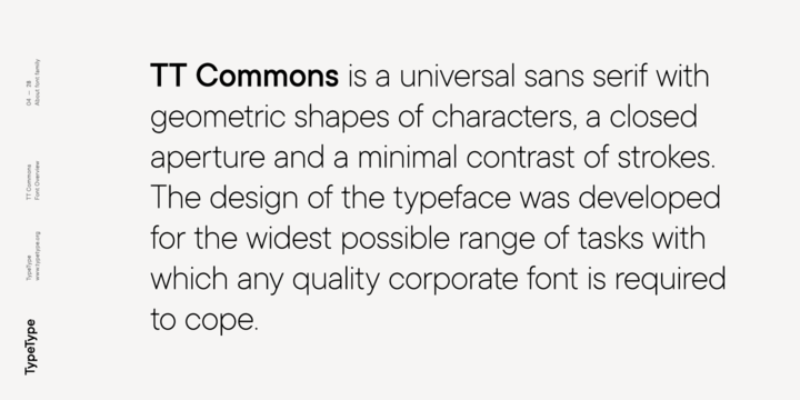 Beispiel einer TT Commons  Light Italic-Schriftart