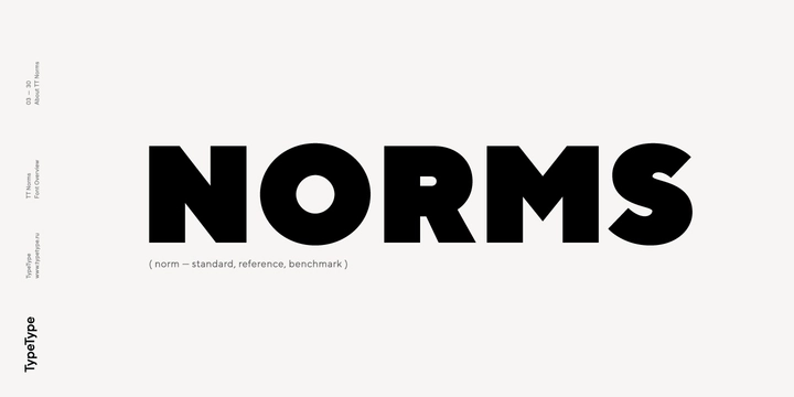 Beispiel einer TT Norms Extra Light Italic-Schriftart