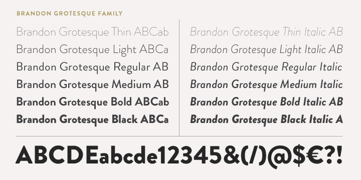 Beispiel einer Brandon Grotesque Black-Schriftart