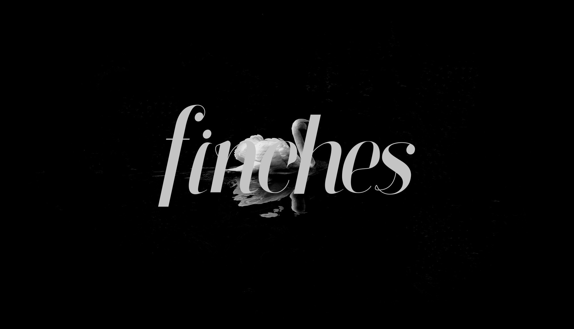 Beispiel einer Finches-Schriftart