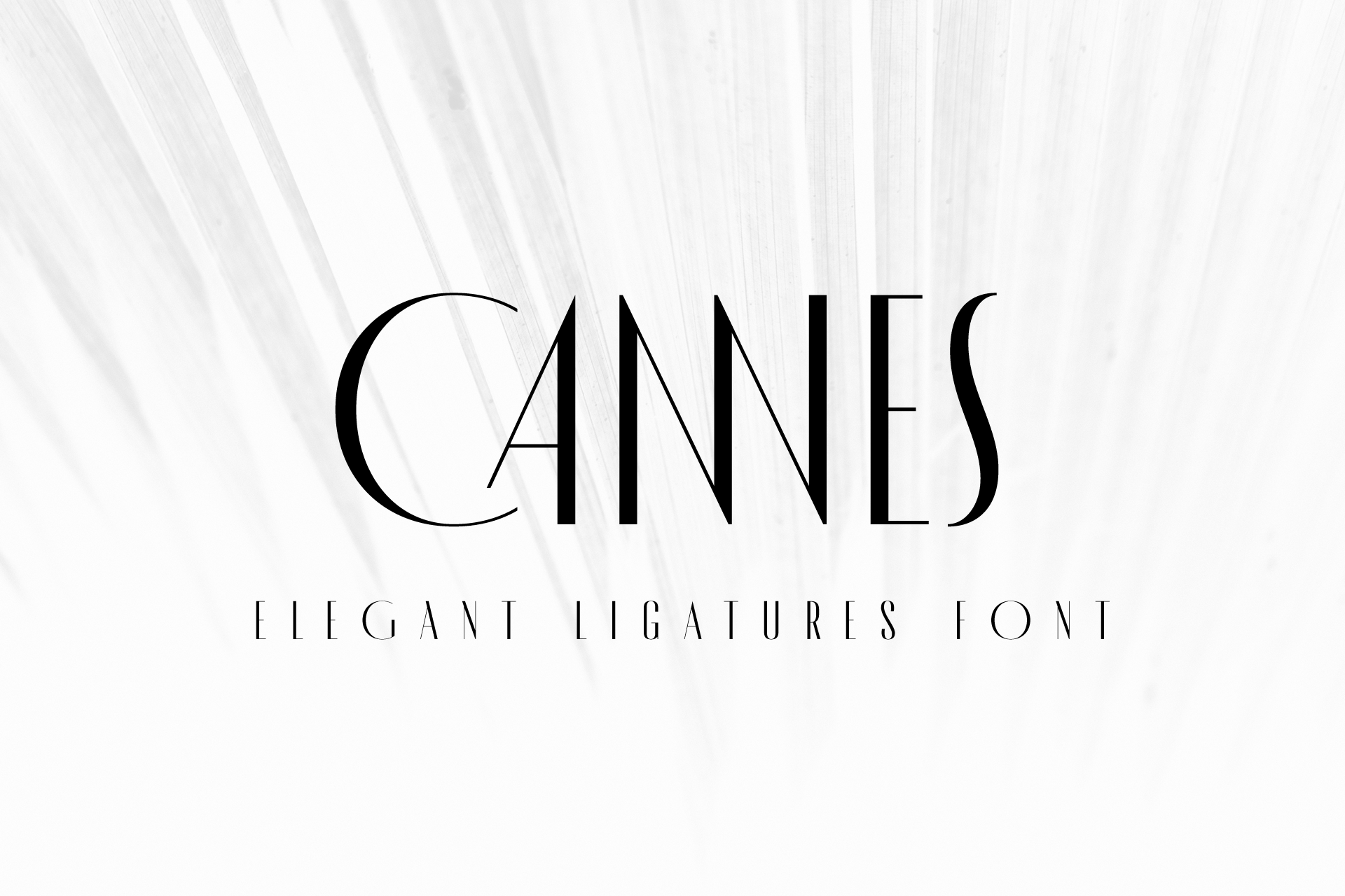 Beispiel einer MADE Cannes-Schriftart