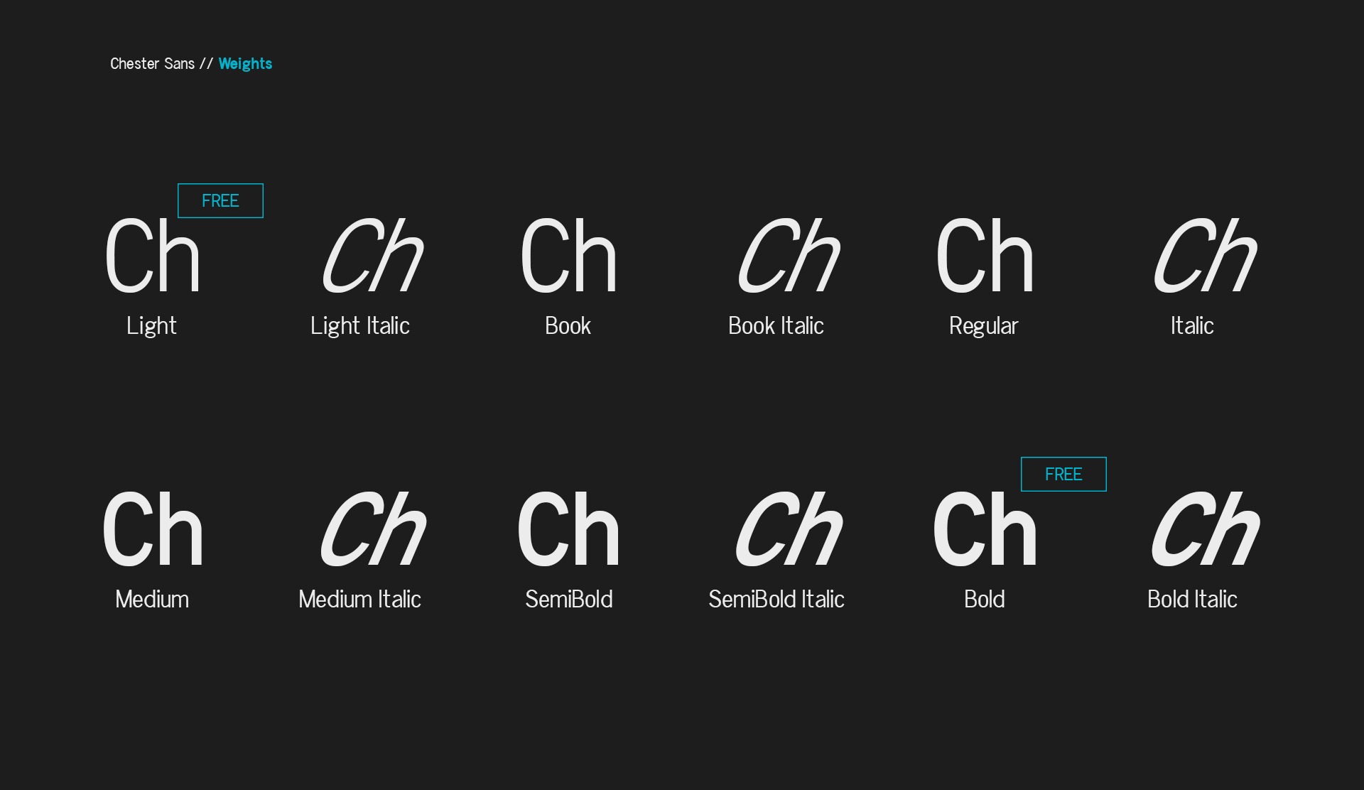 Beispiel einer Chester Sans Bold-Schriftart