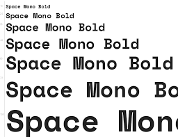 Beispiel einer Space Mono Italic-Schriftart