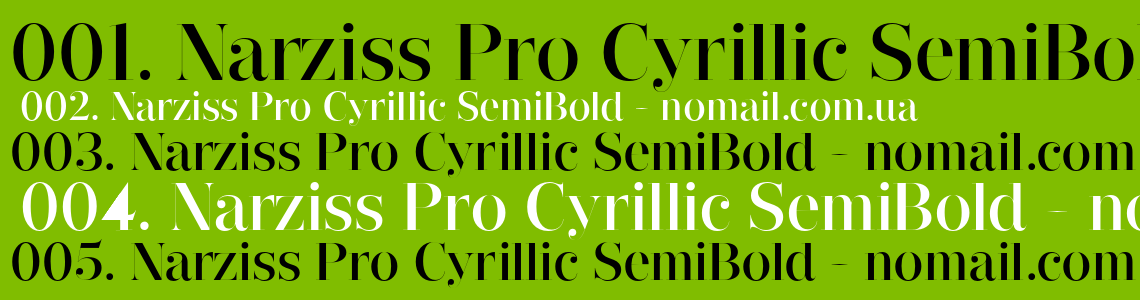 Beispiel einer Narziss Pro Cyrillic Heavy-Schriftart