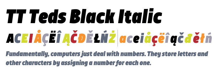 Beispiel einer TT Teds Bold Italic-Schriftart