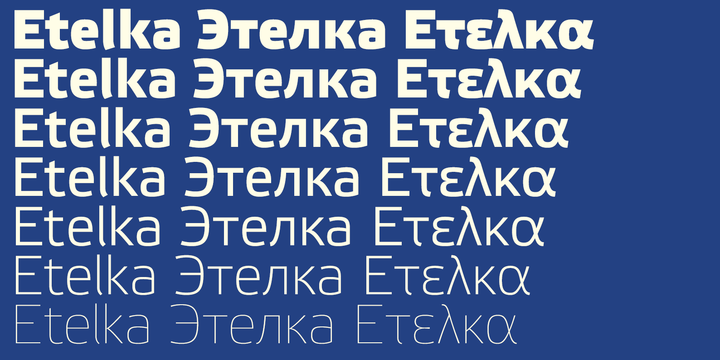 Beispiel einer Etelka  Light Pro Italic-Schriftart