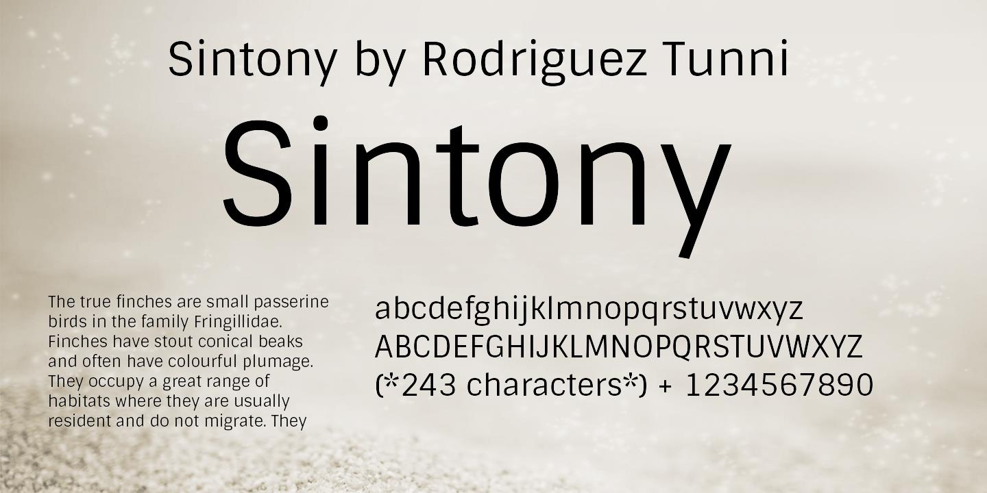 Beispiel einer Sintony-Schriftart
