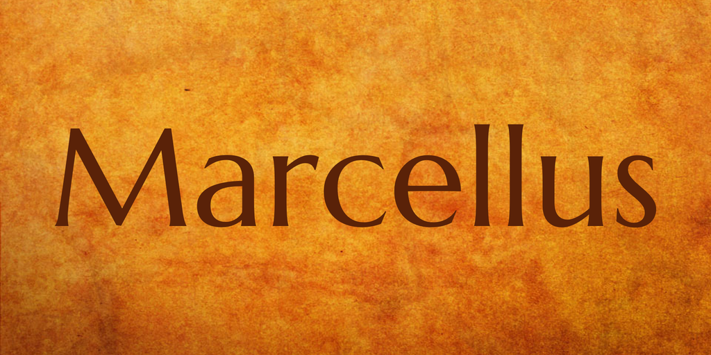 Beispiel einer Marcellus Regular-Schriftart
