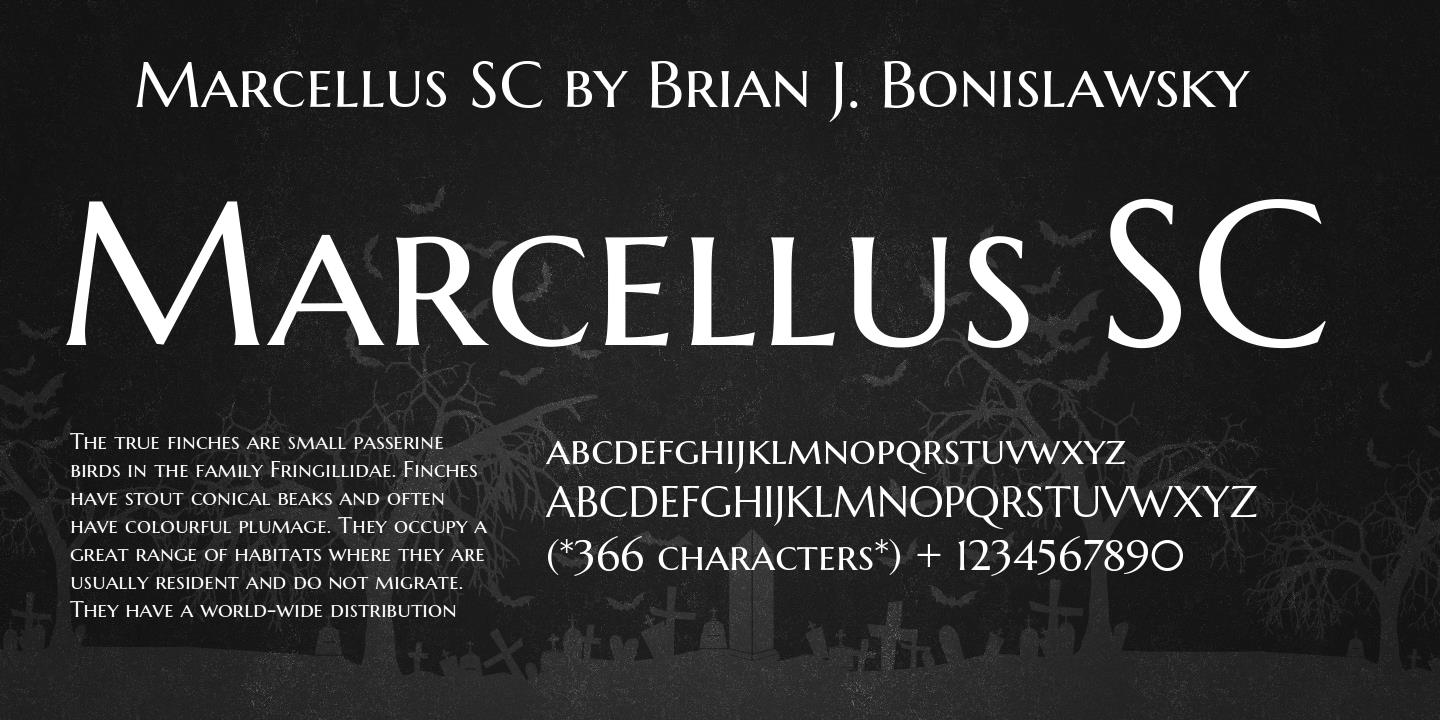 Beispiel einer Marcellus SC Regular-Schriftart