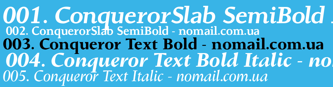 Beispiel einer Conqueror  Slab Bold Italic-Schriftart