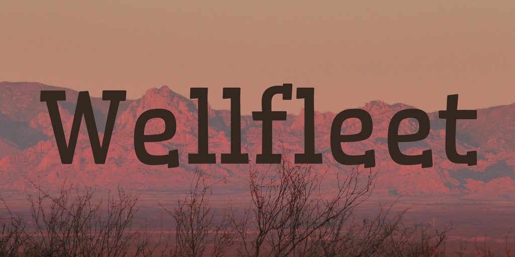 Beispiel einer Wellfleet Regular-Schriftart