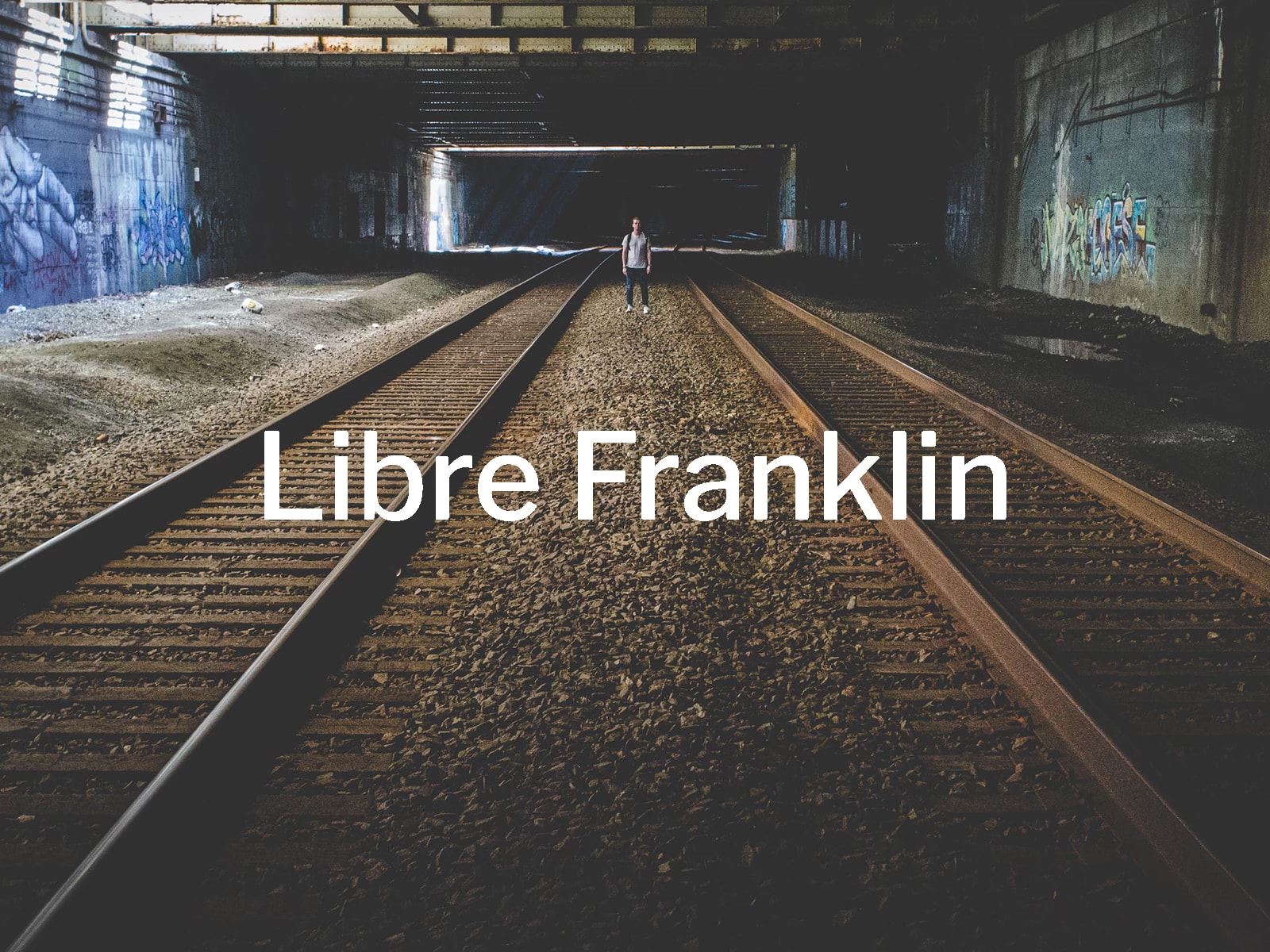 Beispiel einer Libre Franklin Extra Light Italic-Schriftart