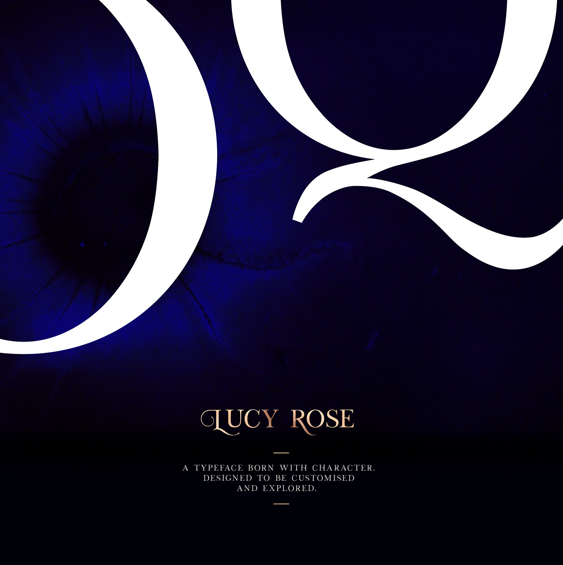Beispiel einer Lucy Rose Regular-Schriftart