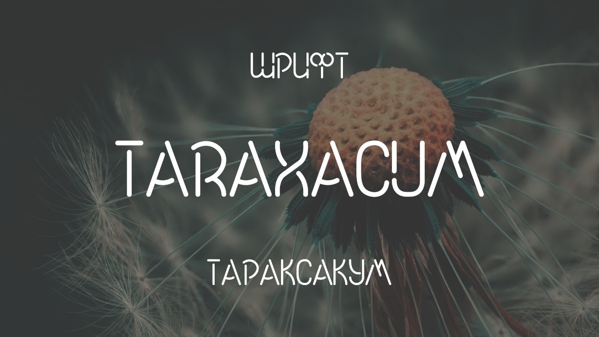 Beispiel einer Taraxacum-Schriftart