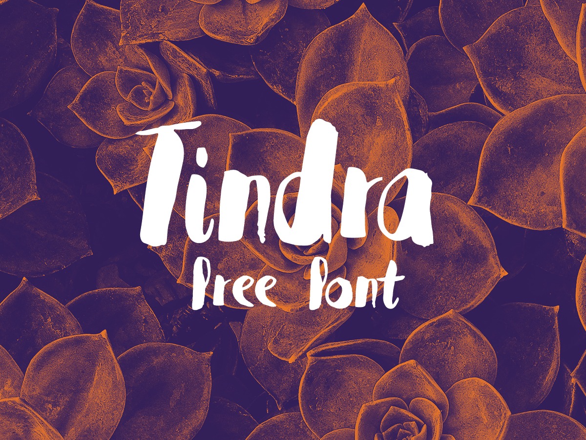 Beispiel einer Tindra Regular-Schriftart