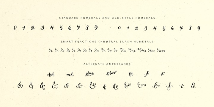 Beispiel einer Dasha Regular-Schriftart