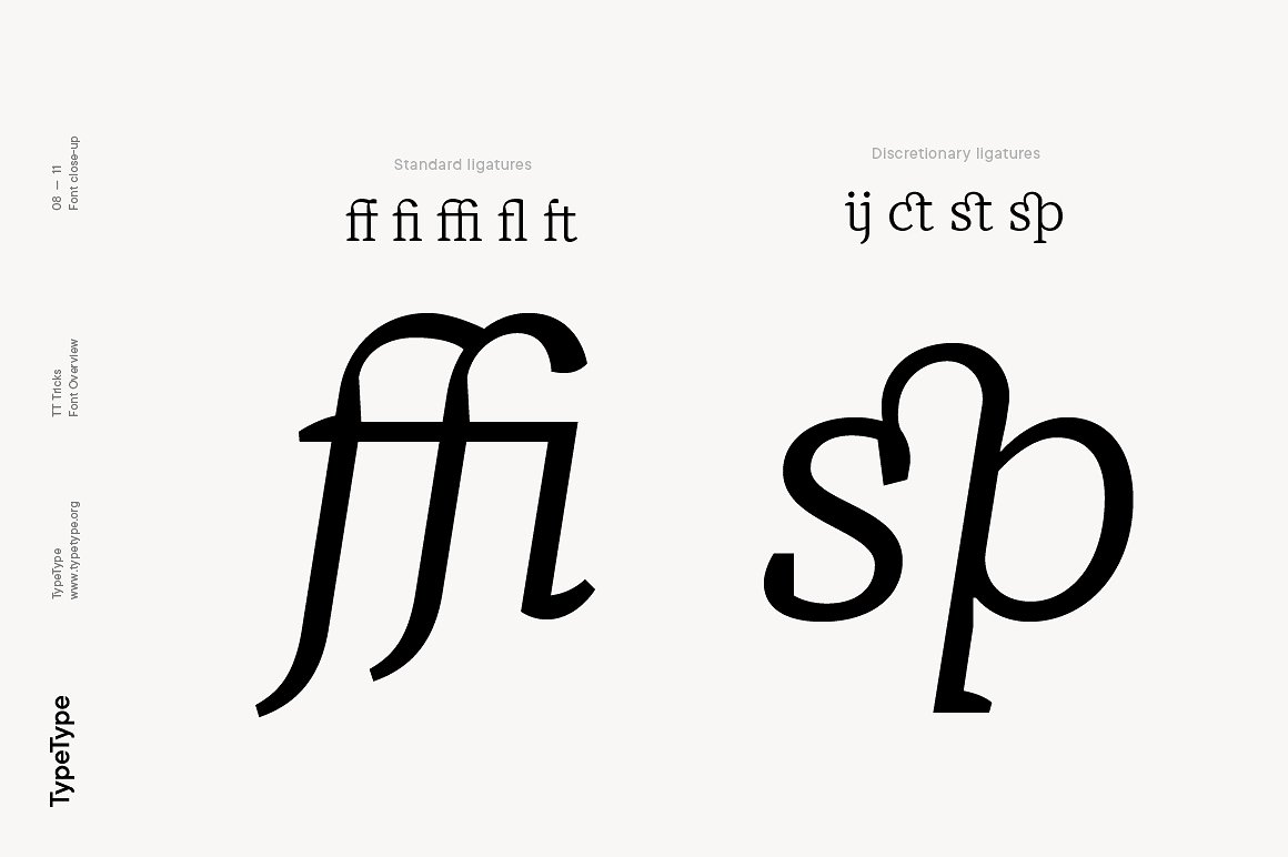 Beispiel einer TT Tricks DemiBold Italic-Schriftart