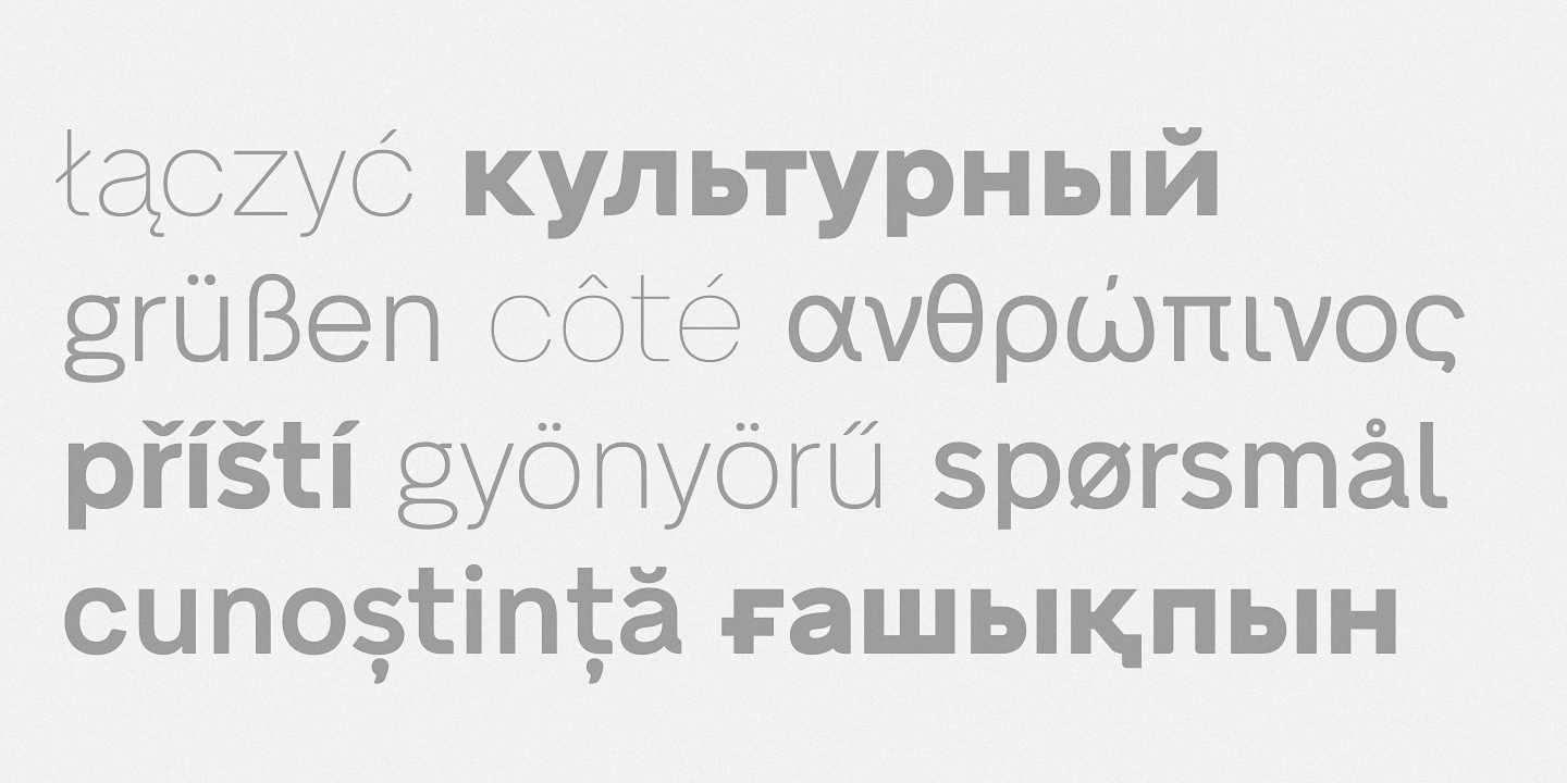 Beispiel einer Neue Alte Grotesk SemiBold-Schriftart