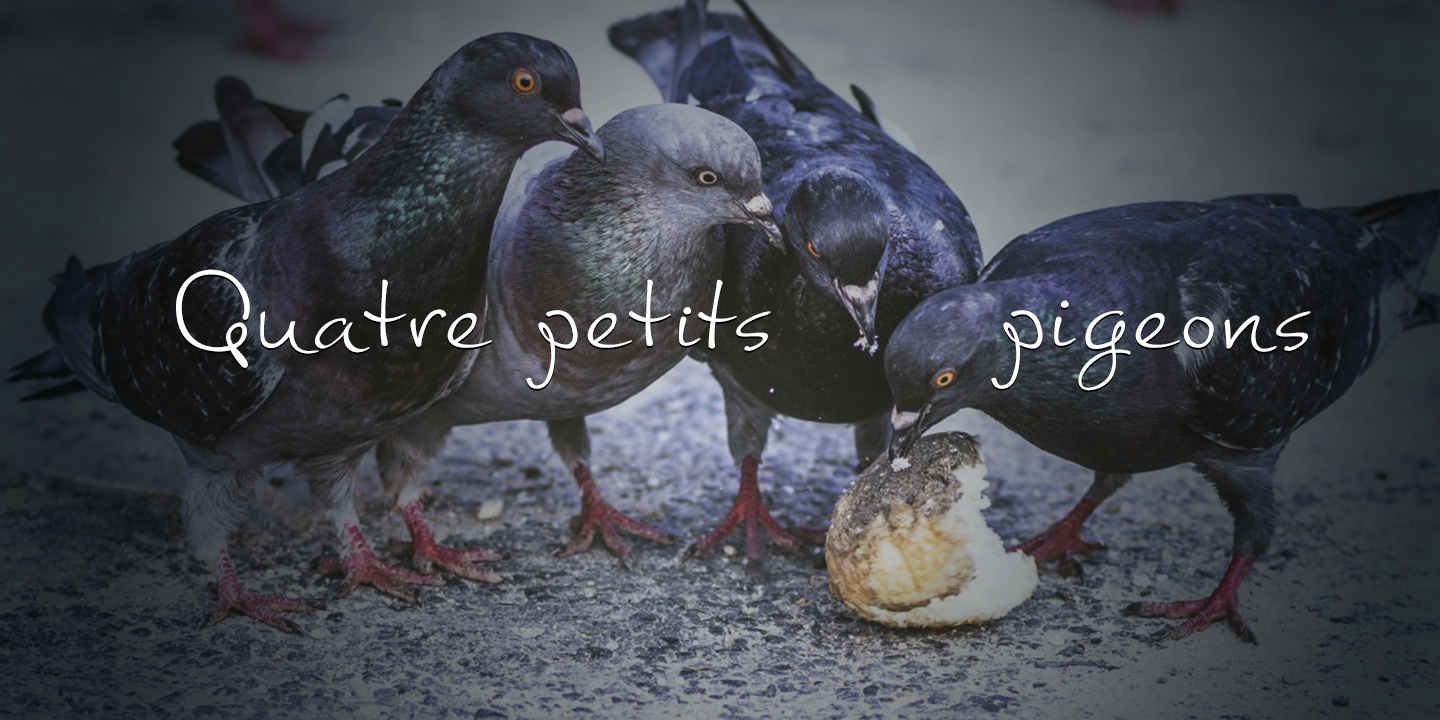 Beispiel einer Pigeon Script Regular-Schriftart