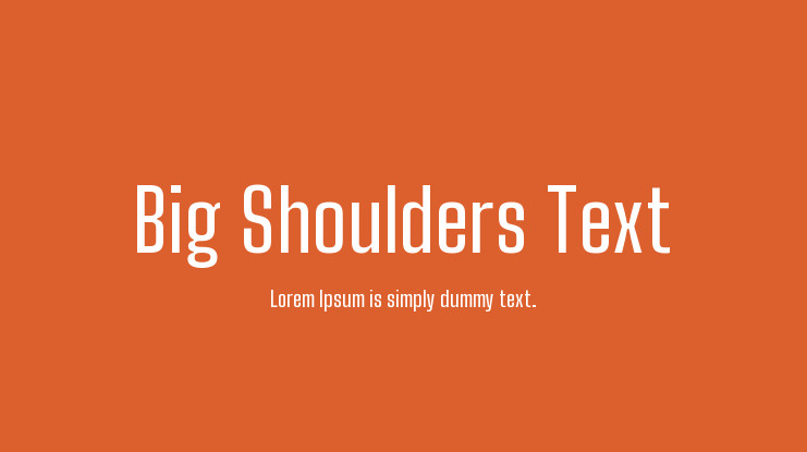 Beispiel einer Big Shoulders Text Light-Schriftart