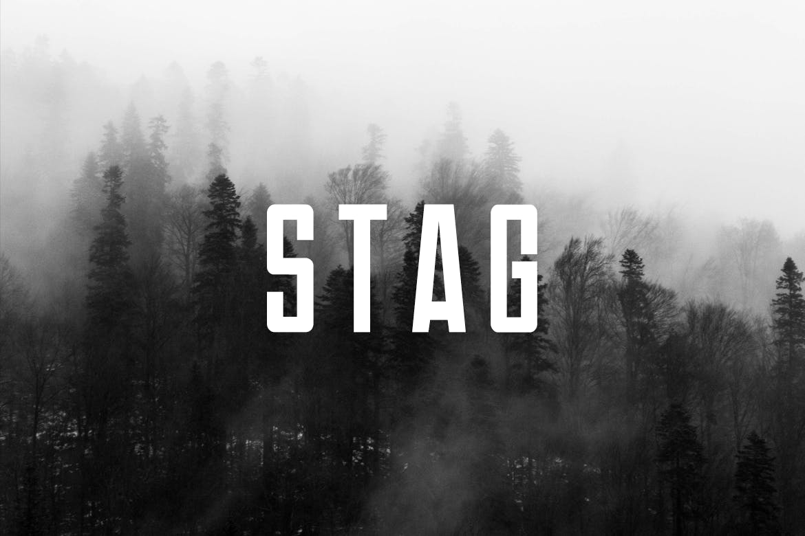 Beispiel einer Stag Black-Schriftart