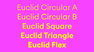 Beispiel einer Euclid Circular Bold Italic-Schriftart