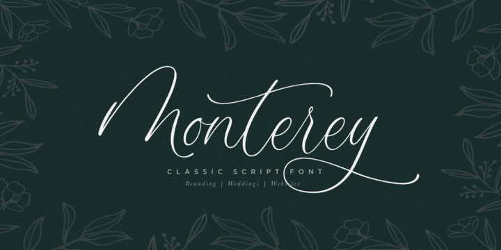 Beispiel einer Monterey Script Regular-Schriftart