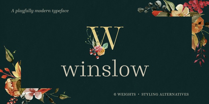 Beispiel einer Winslow Book-Schriftart