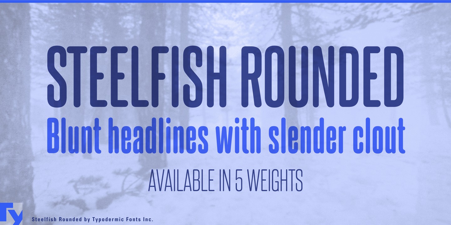 Beispiel einer Steelfish Rounded-Schriftart