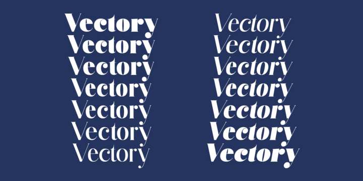 Beispiel einer Vectory Extra Black Italic-Schriftart