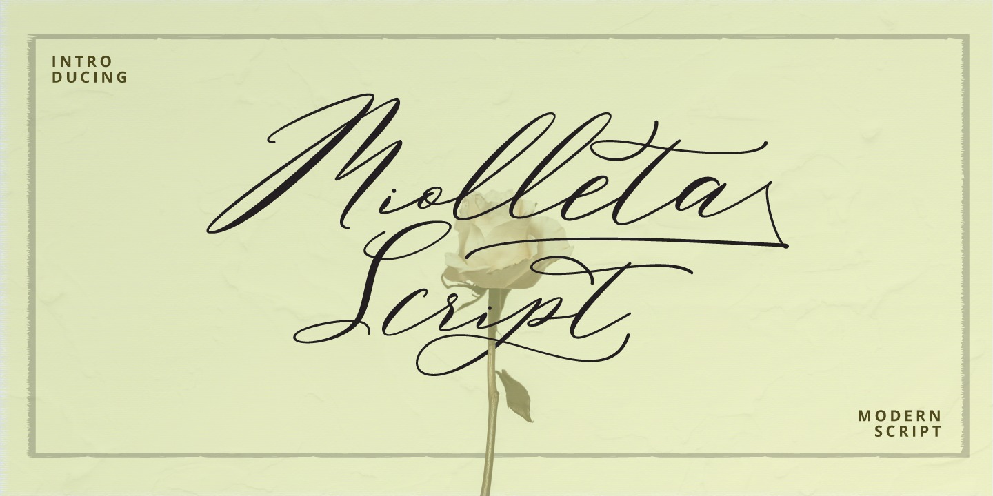 Beispiel einer Miolleta Script-Schriftart