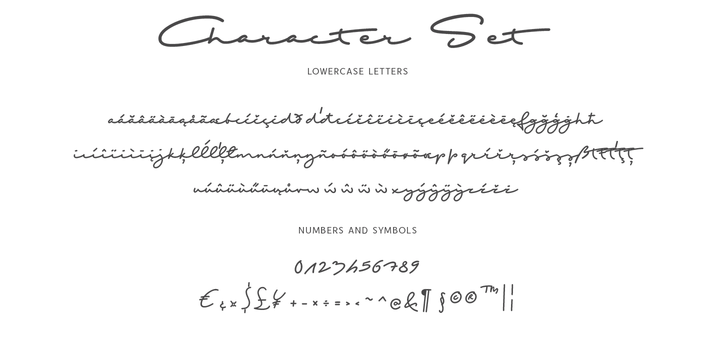 Beispiel einer Shopping Script Regular-Schriftart