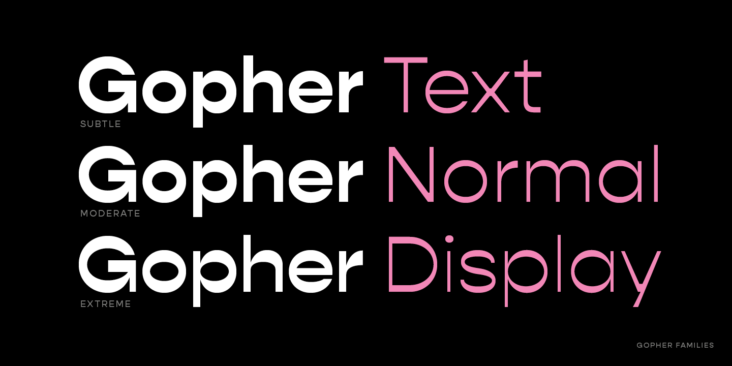 Beispiel einer Gopher Bold Italic-Schriftart