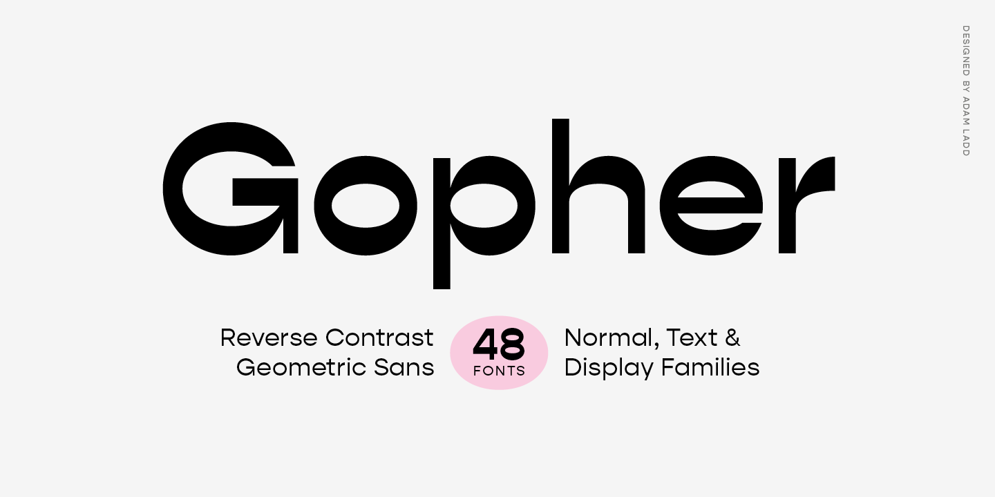 Beispiel einer Gopher Display Light Italic-Schriftart