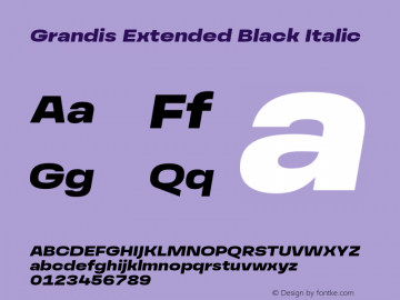 Beispiel einer Grandis Extended Black Italic-Schriftart