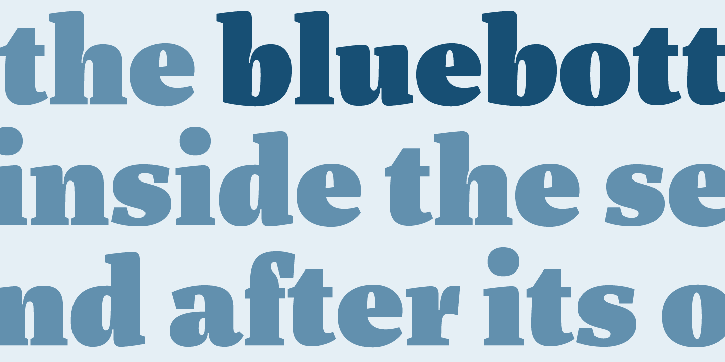 Beispiel einer Marat Light Italic-Schriftart