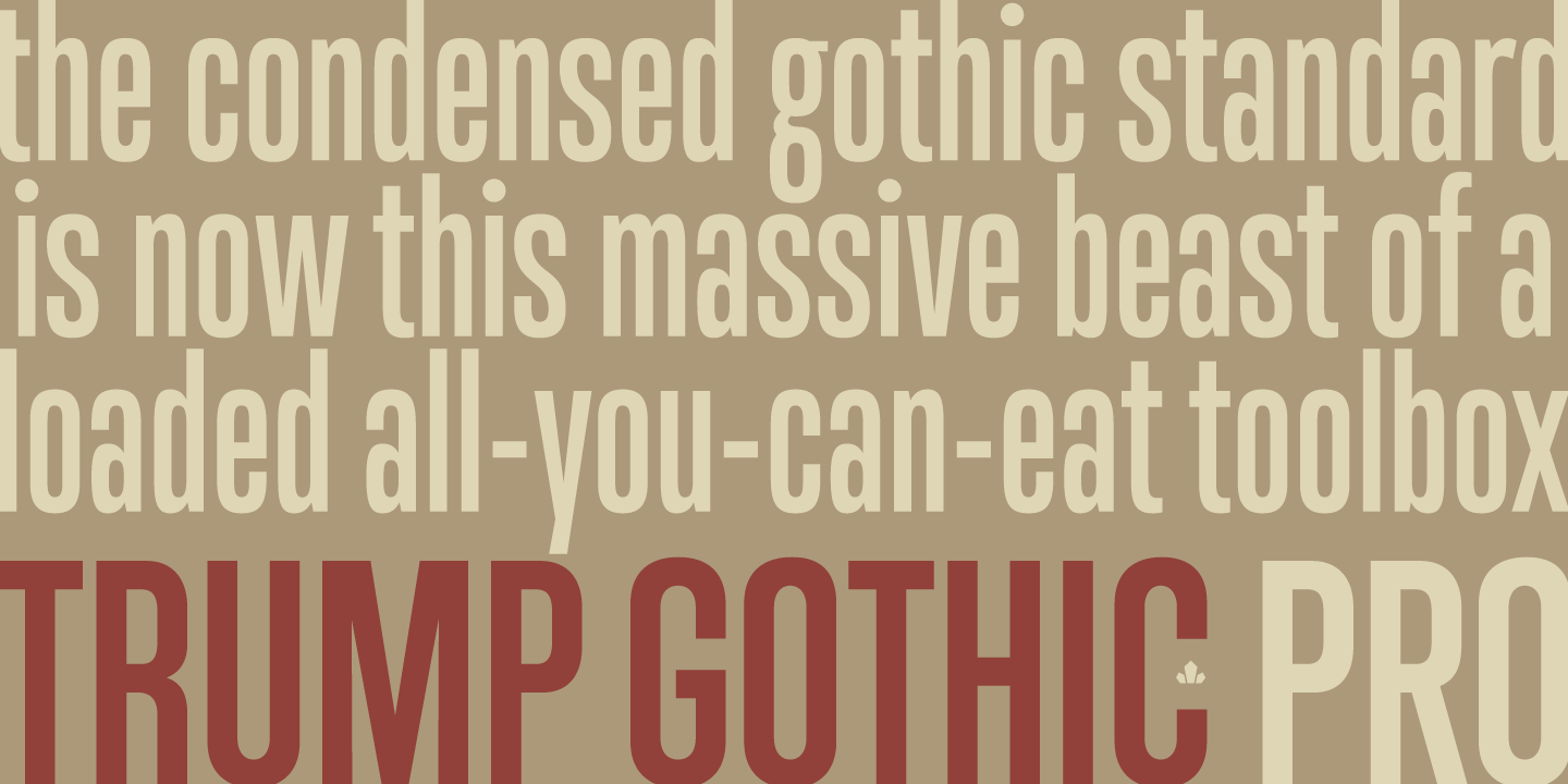 Beispiel einer Trump Gothic Pro Medium Italic-Schriftart