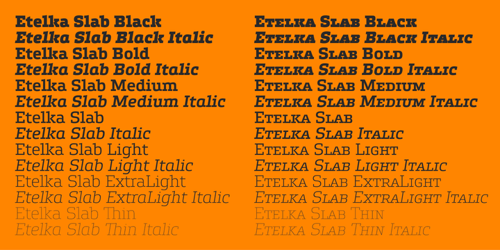 Beispiel einer Etelka Slab Black Italic-Schriftart