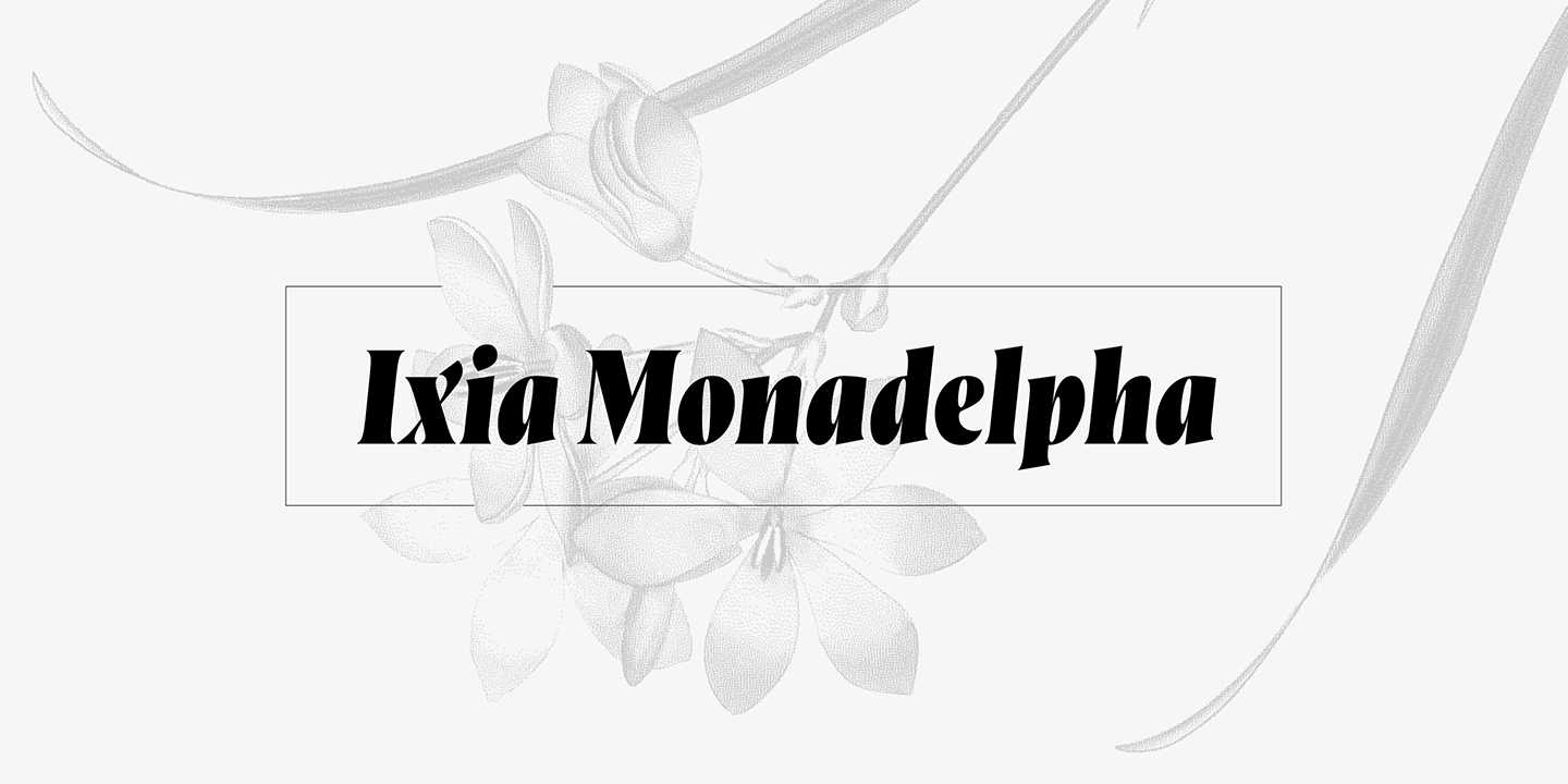 Beispiel einer Wayfinder CF Extra Bold-Schriftart