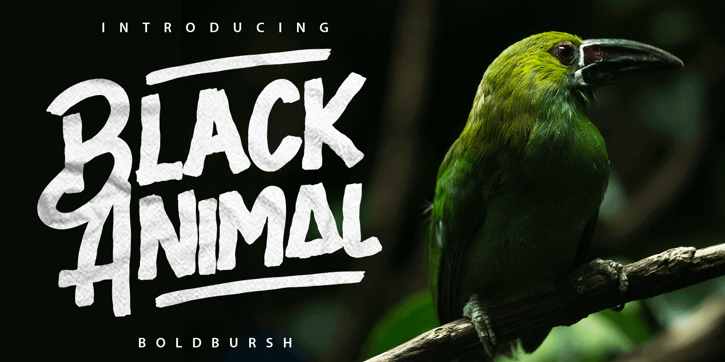 Beispiel einer Black Animal-Schriftart