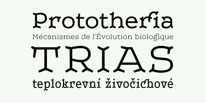 Beispiel einer Leto Two Condensed Regular-Schriftart