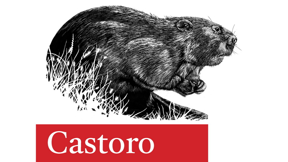 Beispiel einer Castoro Regular-Schriftart