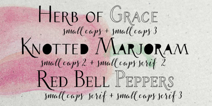 Beispiel einer Salt & Spices Pro SC Serif-Schriftart