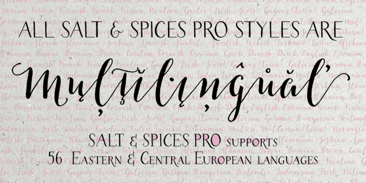 Beispiel einer Salt & Spices Pro SC Serif-Schriftart