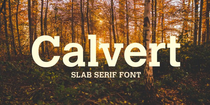 Beispiel einer Calvert Regular-Schriftart