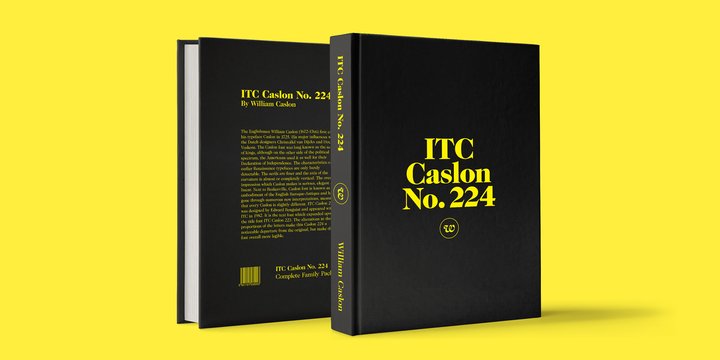 Beispiel einer ITC Caslon 224-Schriftart