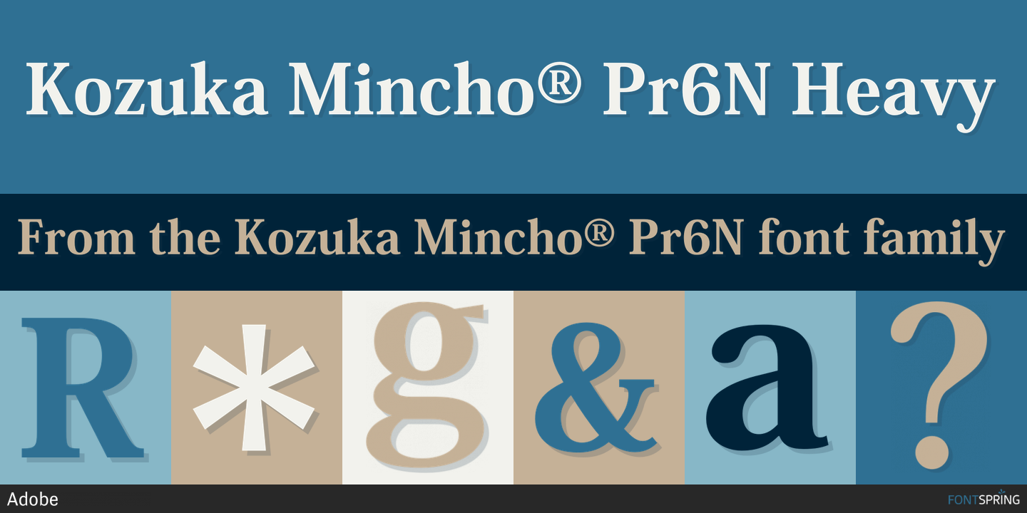 Beispiel einer Kozuka Mincho Pr6N-Schriftart