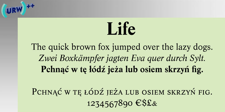 Beispiel einer Life Italic-Schriftart