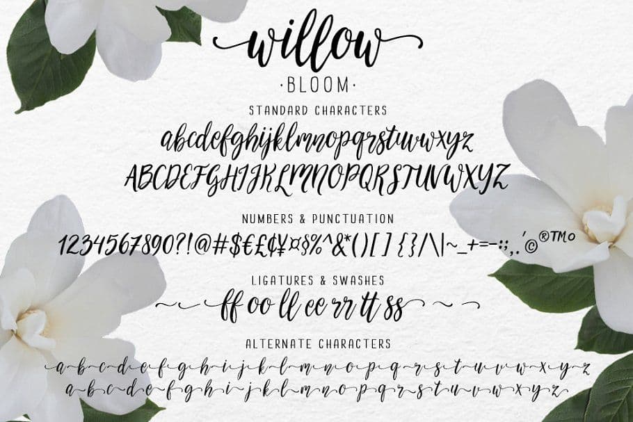 Beispiel einer Willow-Schriftart