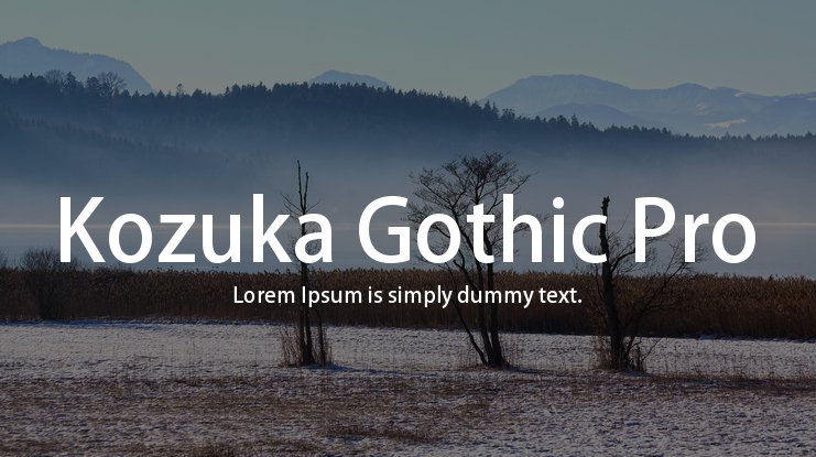 Beispiel einer Kozuka Gothic Pro Bold-Schriftart